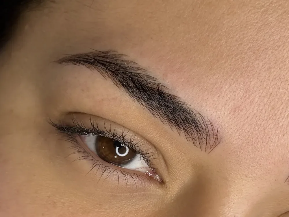 Curso Microblading hiperrealista + cejas híbridas de Milena Marin Academy